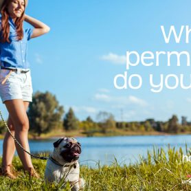 What permission do you need?